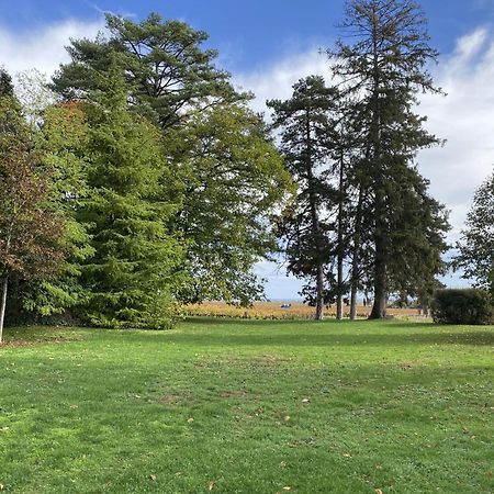 Manoir De Villamont サヴィニー・レ・ボーヌ エクステリア 写真